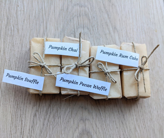 Sample Pack- Soy Wax Melts /Plastic-free and Zero waste/4 scents per pack (2 each)/ Handmade in Oregon/ Wax melt plastic free alternative