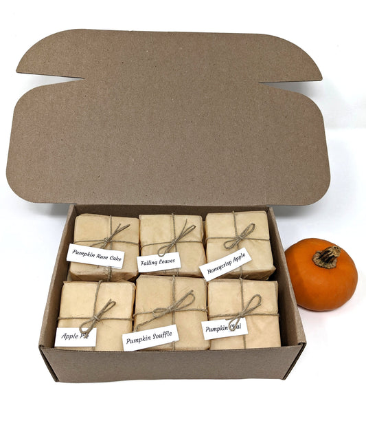 Fall Melt Gift Box- Soy Wax Melts /6 packs of 8/Plastic-free and Zero waste/ Handmade in Oregon/ Wax melt plastic free alternative/